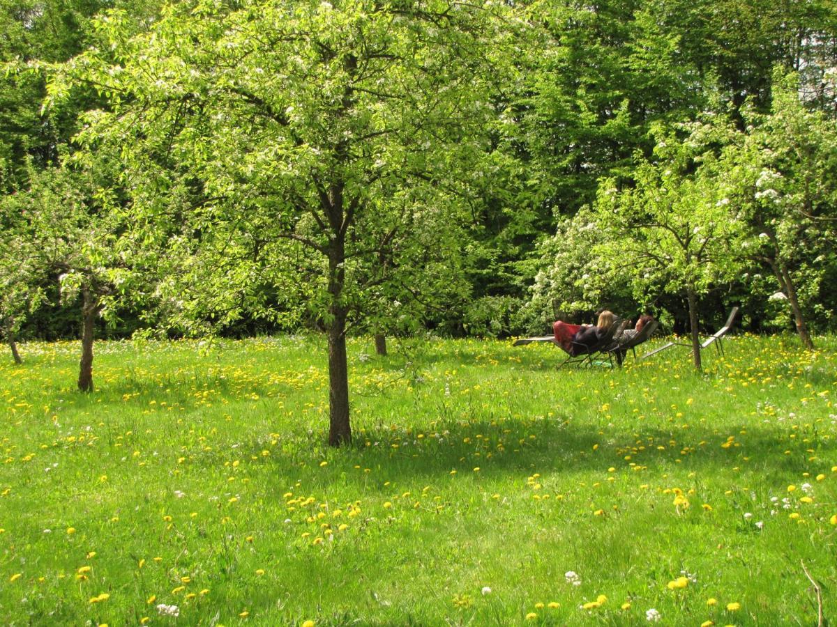 Yoga Vidya Ashram Otel Horn-Bad Meinberg Dış mekan fotoğraf