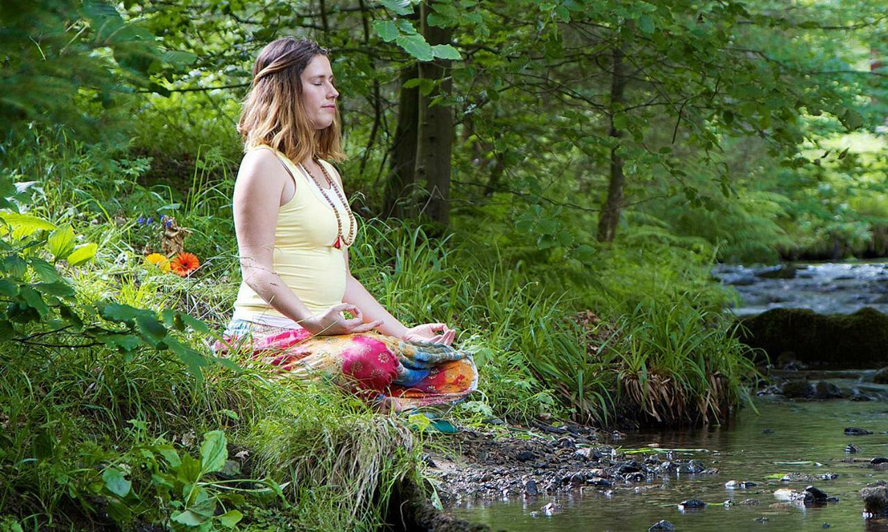 Yoga Vidya Ashram Otel Horn-Bad Meinberg Dış mekan fotoğraf