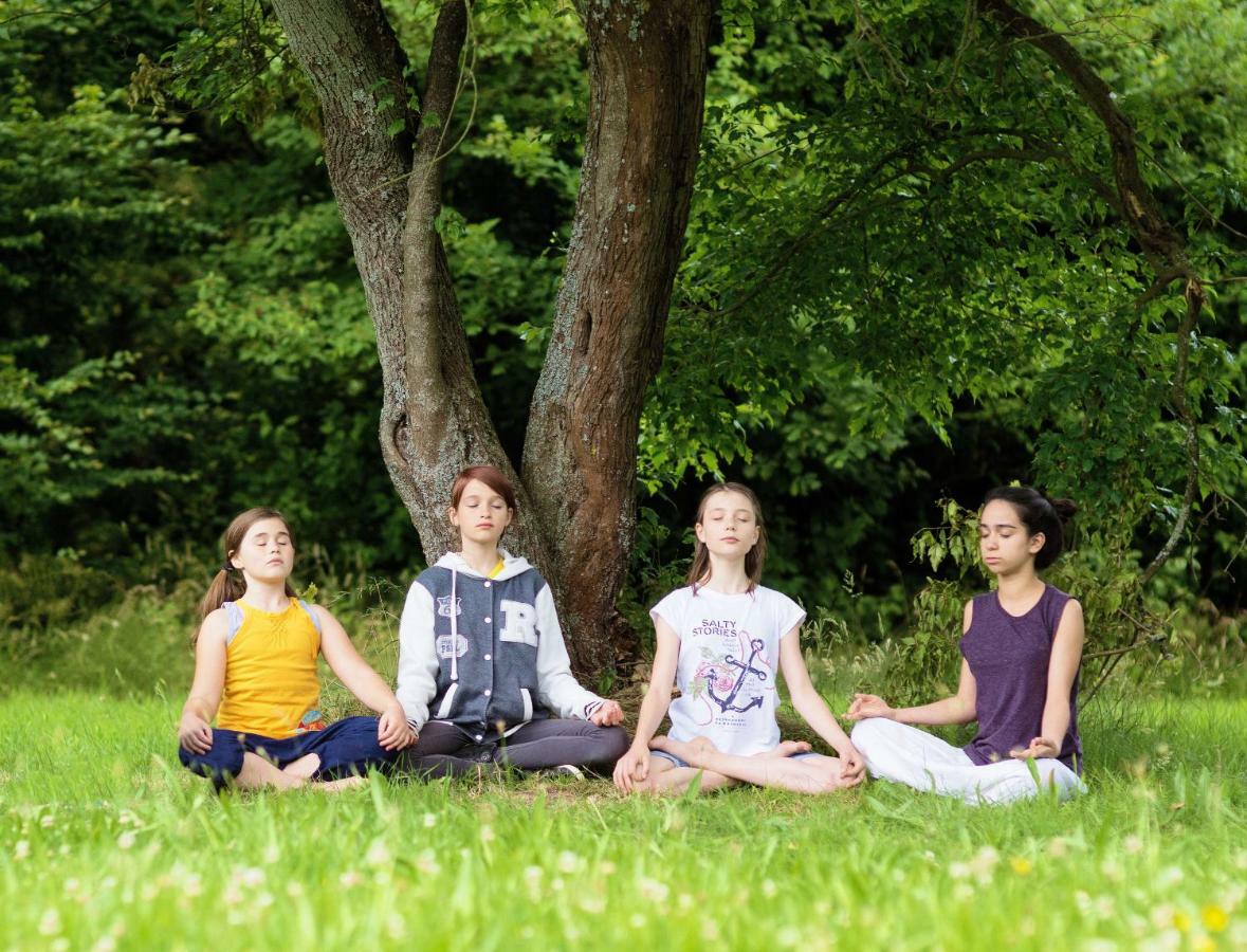 Yoga Vidya Ashram Otel Horn-Bad Meinberg Dış mekan fotoğraf